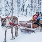 Rovaniemi Private Transfer from Rovaniemi city centre to Rovaniemi airport - Practical Details & Considerations