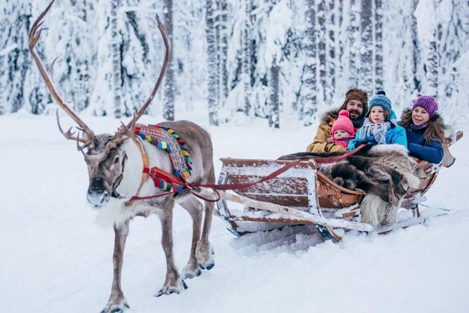 Rovaniemi Private Transfer from Rovaniemi city centre to Rovaniemi airport - Practical Details & Considerations