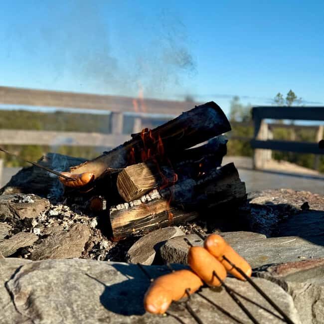 Rovaniemi: Reindeer Farm, Berry Picking, and Fire-Making - What Makes This Tour Stand Out