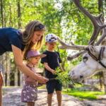 Rovaniemi: Reindeer Farm Visit at Autumn - An In-Depth Look at the Reindeer Farm Tour