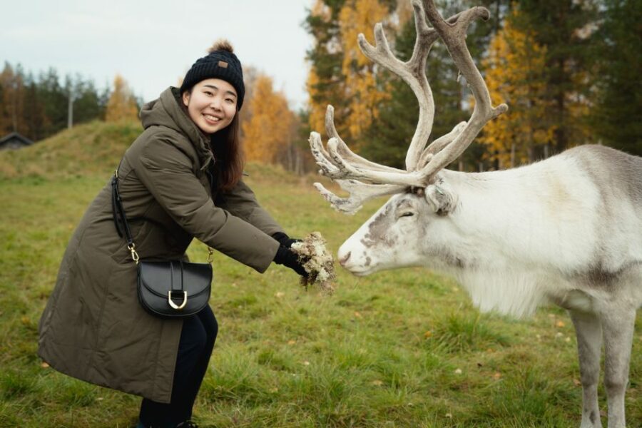Rovaniemi: Reindeer Farm Visit with Photographer - Final Thoughts