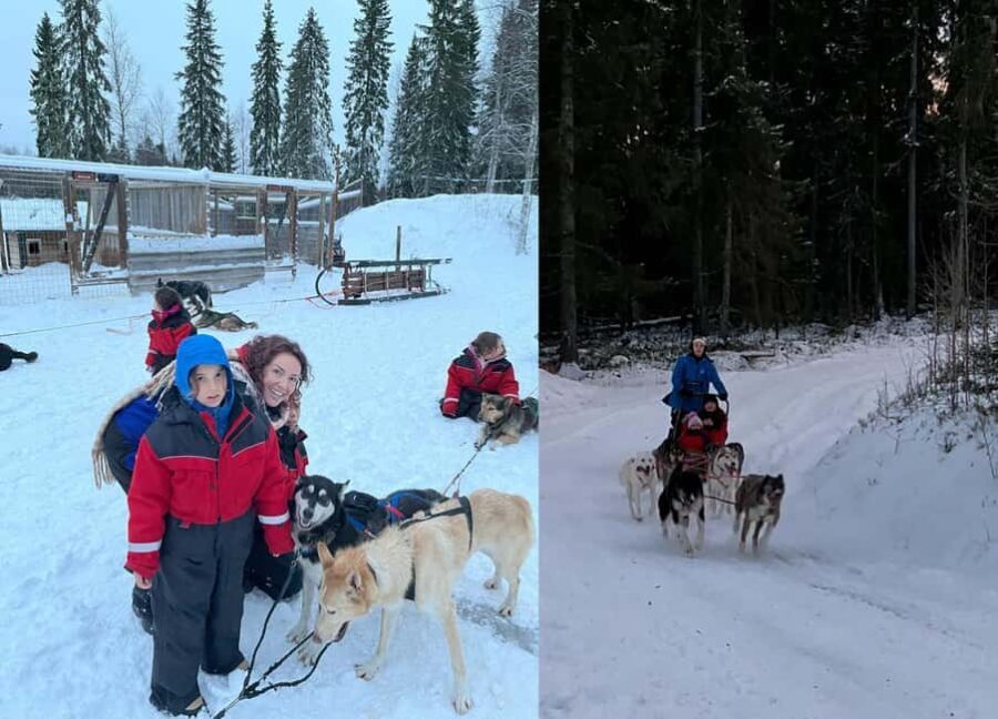 Rovaniemi: Reindeer & Husky Safari with Lunch - Authentic Arctic Encounters: What Travelers Say