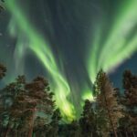 Rovaniemi: Reindeer Safari and Northern Lights Tour - A Deep Dive into the Reindeer Safari and Northern Lights Tour