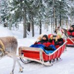 Rovaniemi: Reindeer Sleigh Ride with Hot Drink and Cookies - The Sum Up: Is This Tour Right for You?
