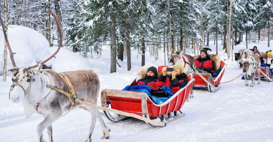 Rovaniemi: Reindeer Sleigh Ride with Hot Drink and Cookies - The Sum Up: Is This Tour Right for You?