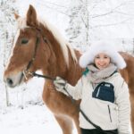 Rovaniemi: Riding Tour with Finnhorses at SCV - Key Points