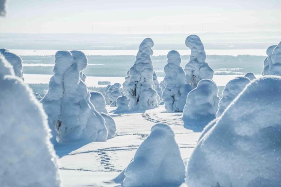 Rovaniemi: Riisitunturi and Korouoma Waterfalls Hiking Tour - Final Thoughts