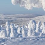 Rovaniemi: Riisitunturi Full-Day Wilderness Adventure & BBQ - What We Found Most Valuable