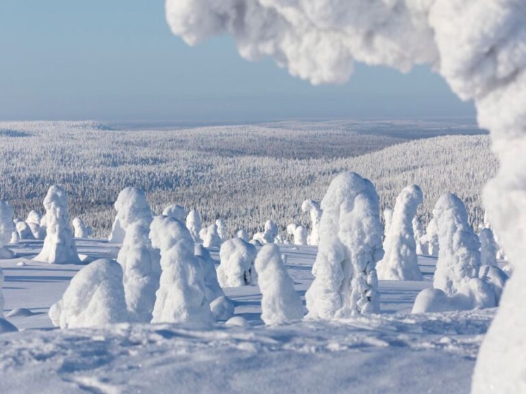 Rovaniemi: Riisitunturi Full-Day Wilderness Adventure & BBQ - What We Found Most Valuable