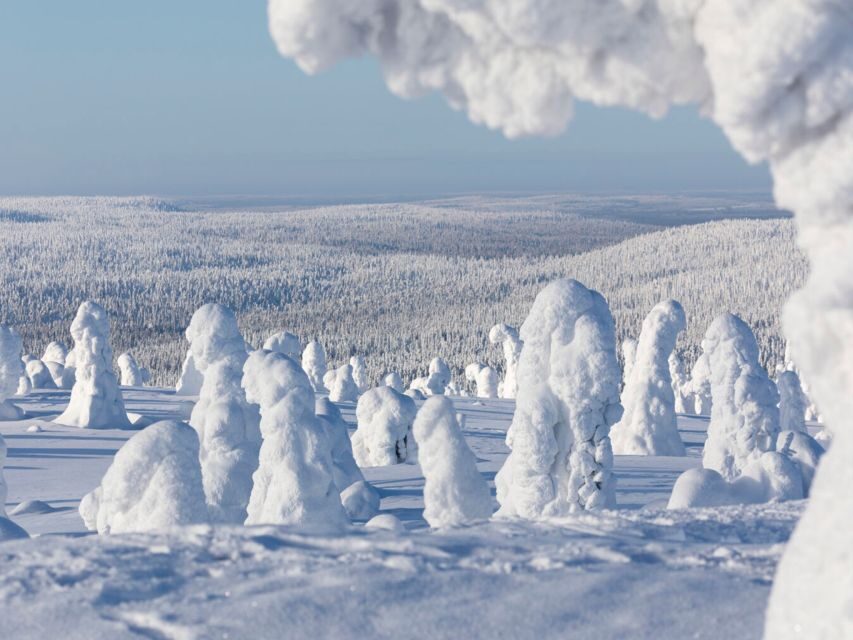 Rovaniemi: Riisitunturi Full-Day Wilderness Adventure & BBQ - What We Found Most Valuable