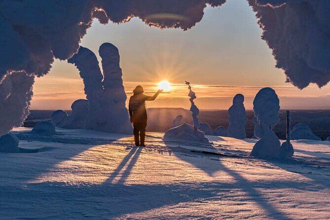 Rovaniemi: Riisitunturi Full-Day Wilderness Adventure & BBQ - Why This Tour Offers Great Value