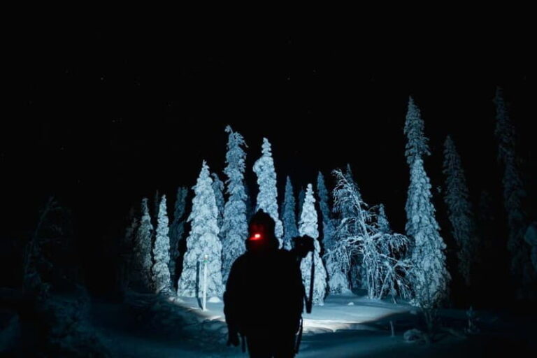 Rovaniemi: Riisitunturi National Park Night Photography Tour - The Real Value of the Tour