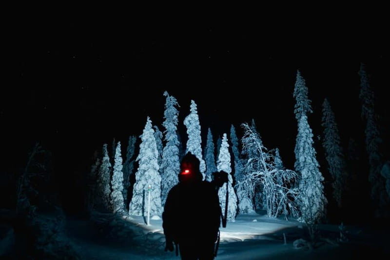 Rovaniemi: Riisitunturi National Park Night Photography Tour - The Real Value of the Tour