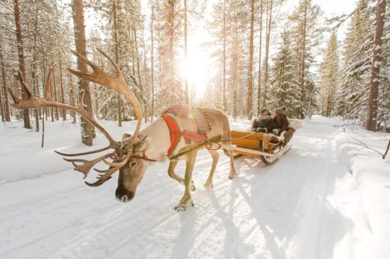 Rovaniemi: Santa Claus Village + Husky & Reindeer Sled Ride - An In-Depth Look at the Tour