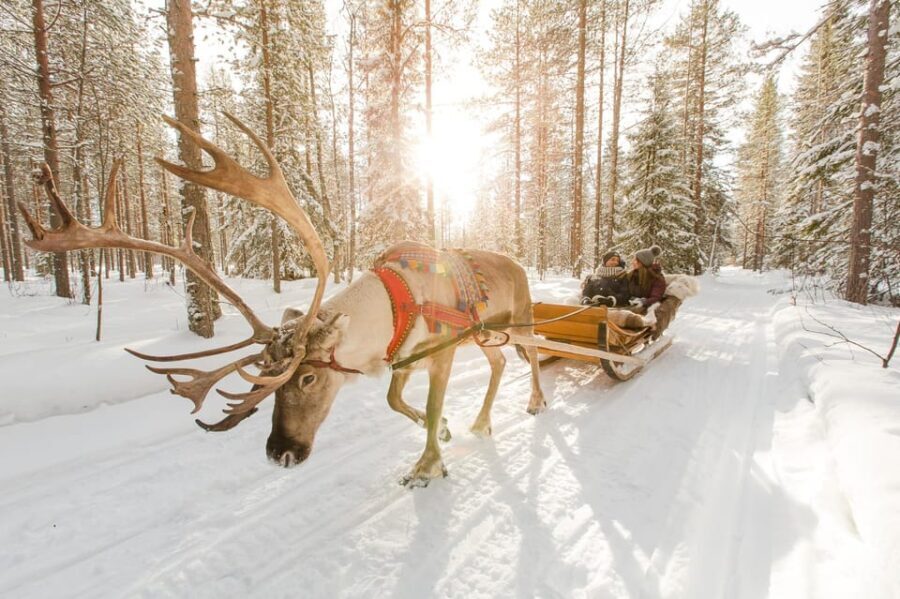 Rovaniemi: Santa Claus Village + Husky & Reindeer Sled Ride - An In-Depth Look at the Tour