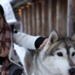 Rovaniemi: Santa Claus Village Tour Huskies & Reindeer Visit - Analyzing the Value