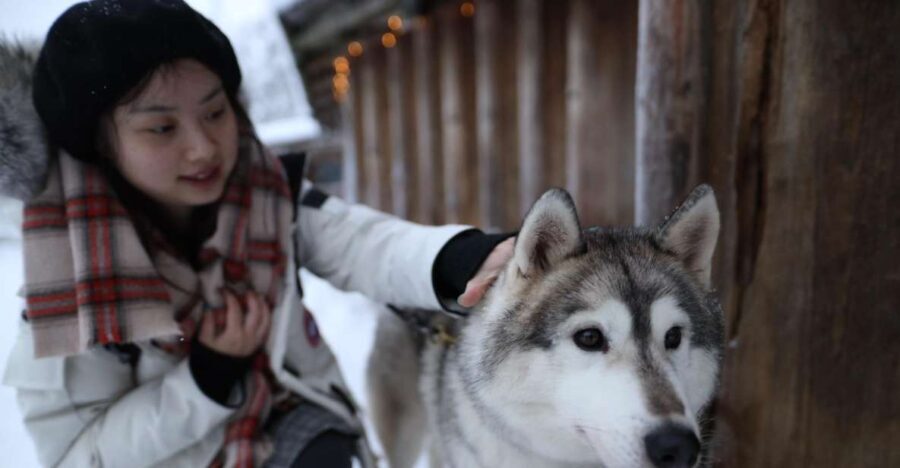 Rovaniemi: Santa Claus Village Tour Huskies & Reindeer Visit - Analyzing the Value