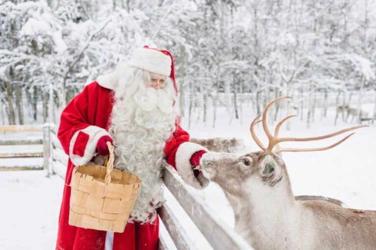 Rovaniemi: Santa Claus Village Visit with Hotel Pickup - Authentic Experiences and Practical Insights