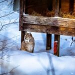 Rovaniemi: Santa Claus Village, Zoo, and Waterfalls Tour - Who Should Consider This Tour?
