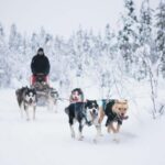 Rovaniemi: Self-Driving Husky Tour 7-kilometers - A Detailed Look at the Husky Self-Driving Tour