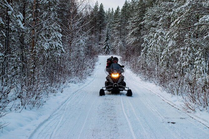 Rovaniemi Snowmobile Adventure & BBQ - 1Hour Drive, Small Group - What’s Included and What’s Not
