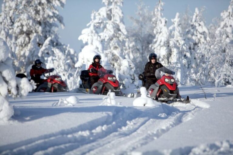Rovaniemi: Snowmobile Safari Adventure - Why This Tour Offers Great Value