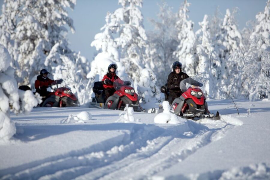 Rovaniemi: Snowmobile Safari Adventure - Why This Tour Offers Great Value