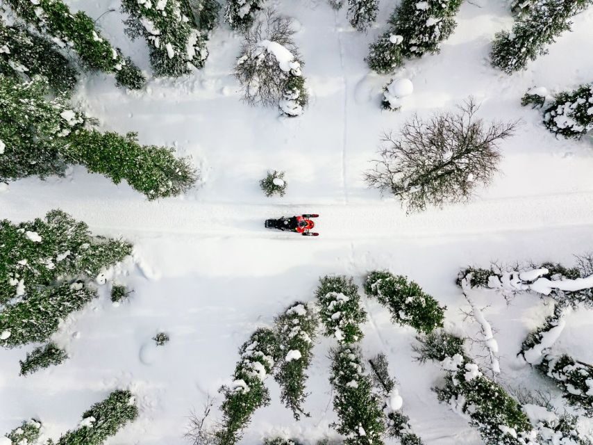 Rovaniemi: Snowmobile Safari Adventure - Frequently Asked Questions