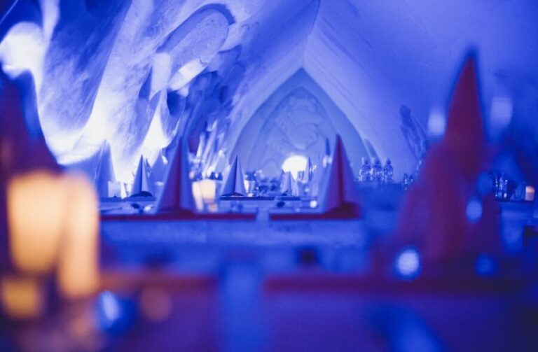 Rovaniemi: Snowmobile Safari to Arctic Snow Hotel - Who Will Love This Tour?