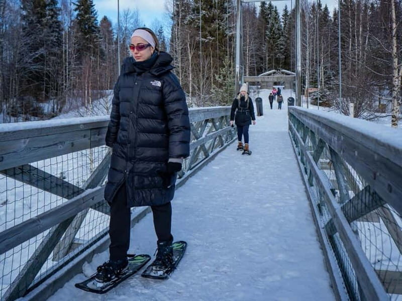 Rovaniemi: Snowshoe Adventure at Vikaköngäs & Barbeque - Breaking Down the Experience