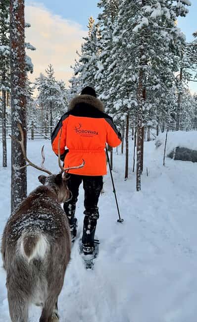 Rovaniemi: Snowshoe trip to meet reindeer - Final Thoughts: Is This Tour Right for You?