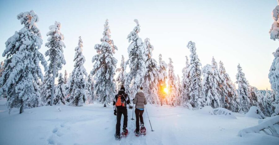 Rovaniemi: Snowshoe Wilderness Adventure - The Experience: Authentic, Educational, and Fun