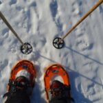 Rovaniemi: Snowshoeing Day Trip with Lunch - Pyhä-Luosto - Key Points