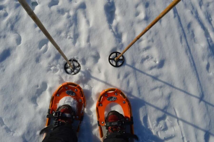 Rovaniemi: Snowshoeing Day Trip with Lunch - Pyhä-Luosto - Key Points
