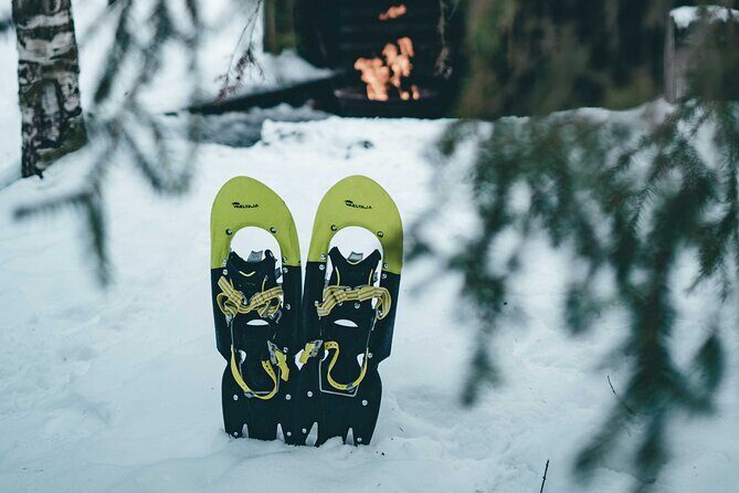 Rovaniemi: Snowshoeing in a magical snowy forest - Authentic Encounters and Real Traveler Insights