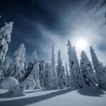 Rovaniemi: Snowy Forest Night Hike with Northern Lights - Why This Tour Offers Real Value