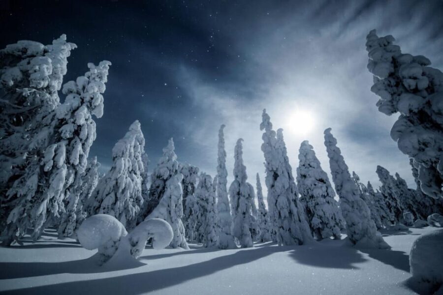 Rovaniemi: Snowy Forest Night Hike with Northern Lights - Why This Tour Offers Real Value