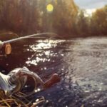 Rovaniemi: Summer Fishing Tour in Arctic Nature & BBQ - A Deep Dive into the Rovaniemi Summer Fishing Tour