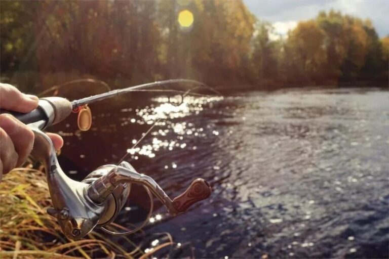 Rovaniemi: Summer Fishing Tour in Arctic Nature & BBQ - A Deep Dive into the Rovaniemi Summer Fishing Tour