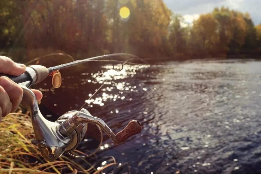 Rovaniemi: Summer Fishing Tour in Arctic Nature & BBQ - A Deep Dive into the Rovaniemi Summer Fishing Tour