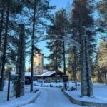Rovaniemi: trip to the Ranua Zoo (transportation, tickets) - Exploring the Ranua Wildlife Park: An Arctic Safari