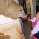 Rovaniemi walking tour and guided Arktikum experience - Practical Details and Tips