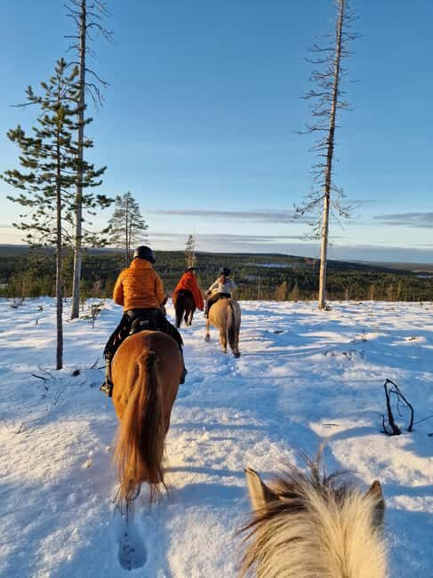 Rovaniemi: Winter Horseback Ride on Snowy Hills and Forests - The Sum Up: Is It Worth It?