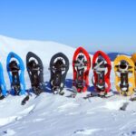 Rovaniemi: Winter Snowshoeing, Reindeer & Husky Sleigh Ride - The Practical Side: What to Expect and Considerations