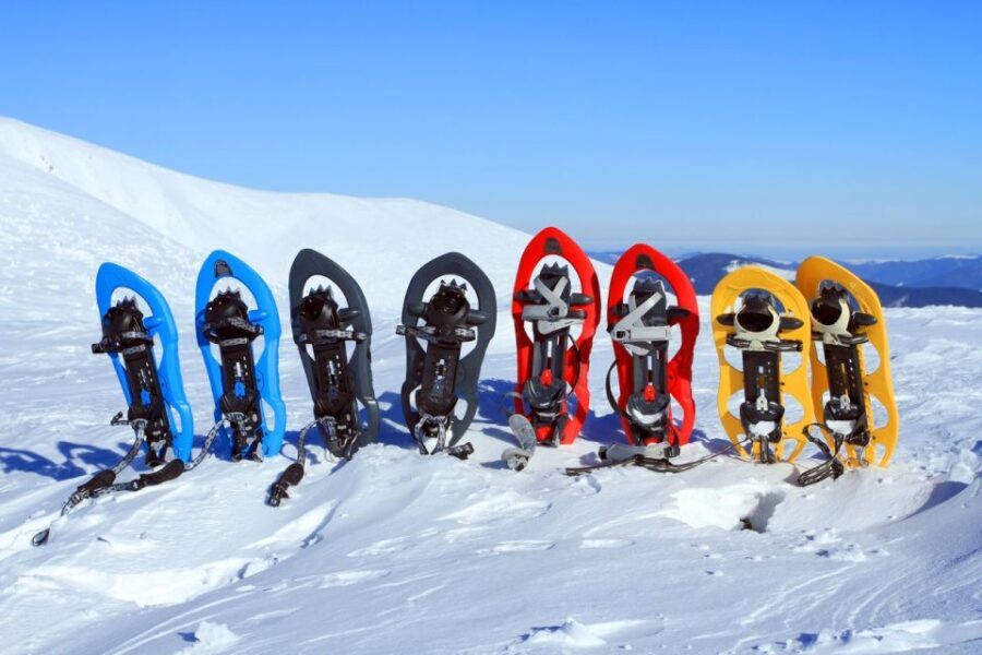 Rovaniemi: Winter Snowshoeing, Reindeer & Husky Sleigh Ride - The Practical Side: What to Expect and Considerations