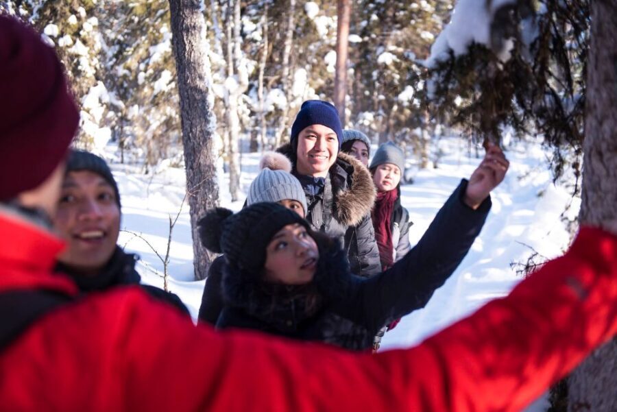 Rovaniemi: Winter Wilderness Snowshoeing Trip - Experience Overview: What You Can Expect