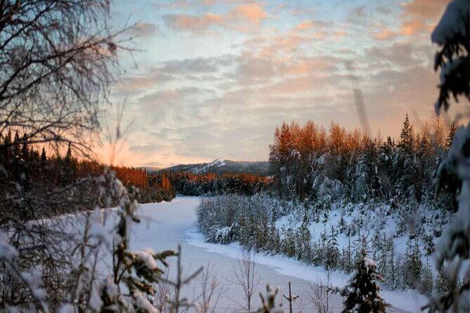 Rovaniemi: Winter Wonderland Vikaköngäs Hiking Tour & BBQ - The Sum Up