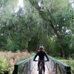 Roxburgh Gorge Bike Hire with Jet Boat & Return Shuttle Included - Who Should Consider This Tour?