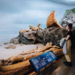 Royal B.C. Museum in Victoria: Full-Day Admission Ticket - Practical Tips for Visiting