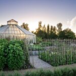 Royal Horticultural Society: Hyde Hall Garden Ticket - Who Will Love Hyde Hall?